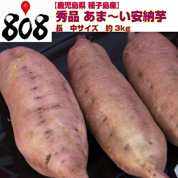 【送料無料】【鹿児島県 種子島産】秀品　あま〜い安納芋　長　中サイズ　約3kg(北海道沖縄別途送料加算)安納さげ芋/干し芋/焼き芋/煮物/さつま芋/さつまいも/サツマイモ/サツマ芋/薩摩芋/スイートポテト/芋菓子/おせち/お節/栗きんとん/お中元/敬老の日/秋の味覚