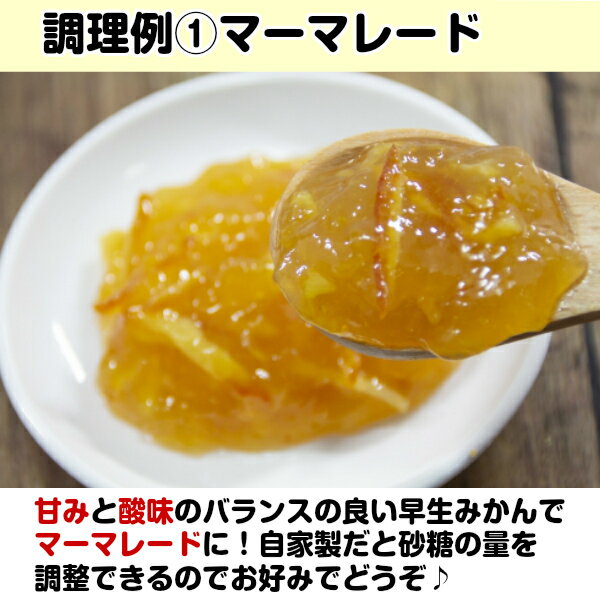 ������̵���ۡ������ܻ��۽��ʡ������ߤ����礭�����ޤ�������10kg(�̳�ƻ�������������û�)