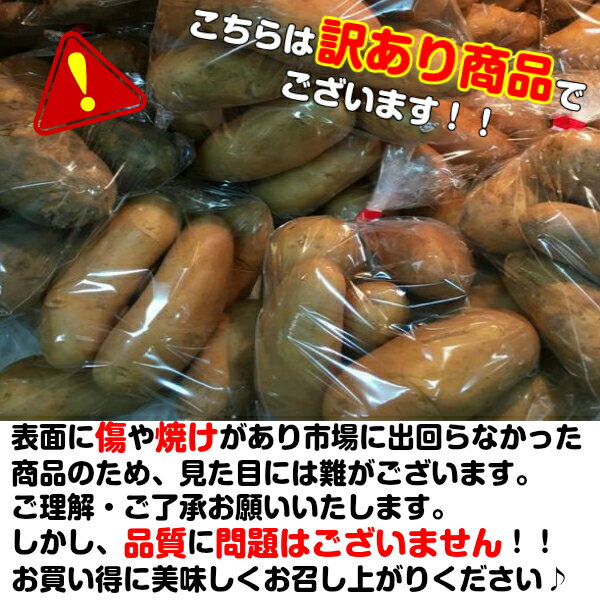 ������̵���ۡ������ܻ��������� �᡼������ LM��3L������ 1Ȣ ��10kg(�̳�ƻ�������������û�)