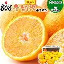 【送料無料】【西日本産】訳あり 不知火(デコポン) 大きさおまかせ 約3kg(北海道沖縄別途送料加算)