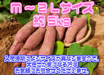 【大分県産】甘太くん　訳あり　M〜3Lサイズ　約5kg【常温便送料無料】(北海道沖縄別途送料加算)かんたくん/蜜芋/焼芋/焼き芋/煮物/さつま芋/さつまいも/サツマイモ/サツマ芋/薩摩芋/スイートポテト/芋菓子/おせち/お節/栗きんとん/訳有/訳あり/訳アリ/ワケあり/newyear_d19