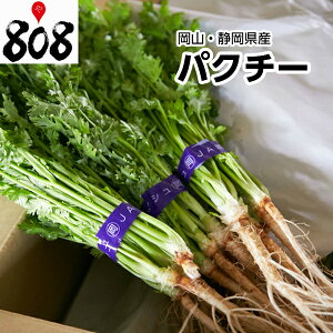 【送料別】【岡山/静岡県産】パクチー コリアンダー 香菜　1束100g【野菜詰め合わせセットと同梱で送料無料】【送料は注文後に個数によって変動】