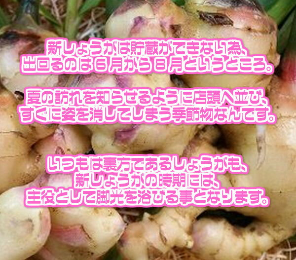 サンプル画像2