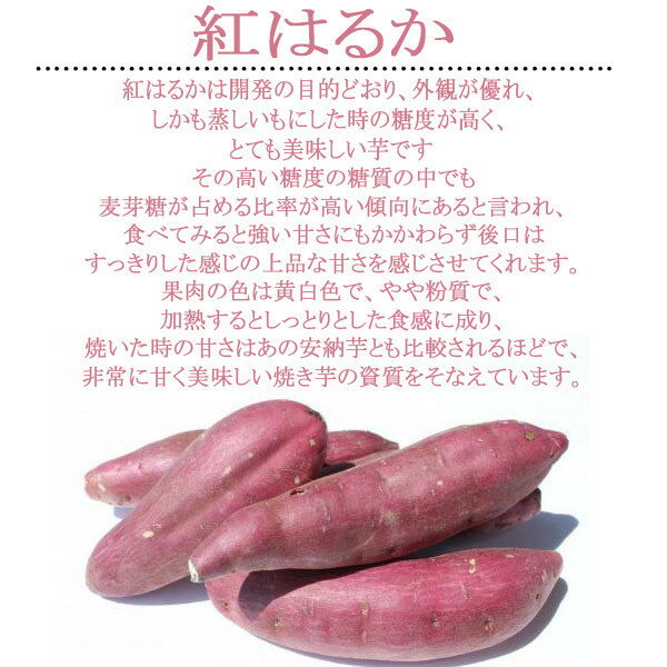 【送料無料】【産地厳選】訳あり　紅はるか　大きさおまかせ　約5kg(北海道沖縄別途送料加算)