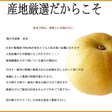 【送料無料】【産地厳選】訳あり　幸水梨　大きさおまかせ　約5kg(北海道沖縄別途送料加算)産地直送仕入れ/和梨/なし/ナシ/梨ジュース/千葉/埼玉/取り寄せ/果物/高糖度/赤梨/こうすい/幸水梨/訳あり/幸水梨のシャーベット/梨とゴーヤのスムージー/梨のコンポート/敬老の日