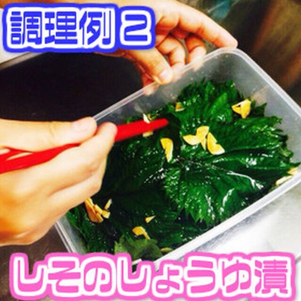 �������̡ۡڰ��θ��������� �Ĥ��� �������� 2L������ 1�ѥå���100g��100��������ڵͤ��碌���åȤ�Ʊ��������̵���ۡ���������ʸ��˸Ŀ��ˤ�ä���ư��