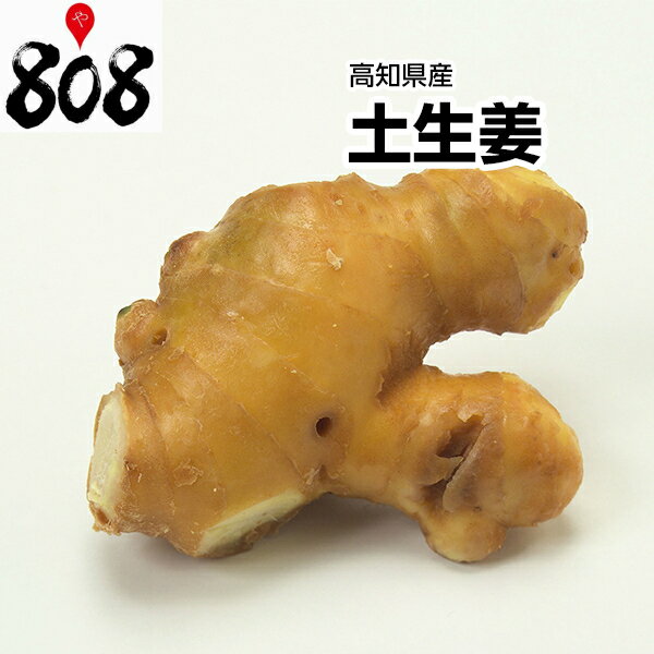 【送料別】【高知県産】土生姜 大 1パック【野菜詰め合わせセットと同梱で送料無料】【送料は注文後に個数によって変動】