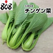 【送料別】【兵庫県産】チンゲン菜　1パック　約200g【野菜詰め合わせセットと同梱で送料無料】【送料は注文後に個数によって変動】