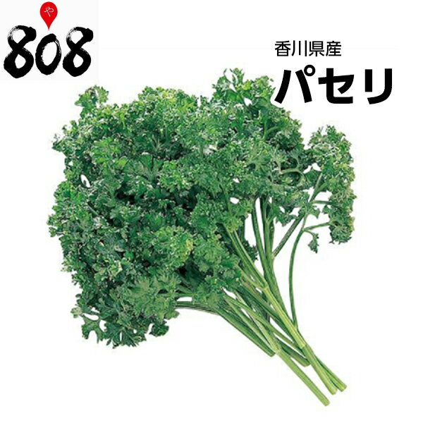 【送料別】【西日本産】パセリ　1パック　約200g【野菜詰め合わせセットと同梱で送料無料】【送料は注 ...