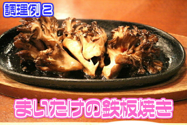 �������̡ۡڻ��ϸ����ۤޤ�������1�ѥå�����ڵͤ��碌���åȤ�Ʊ��������̵���ۡ���������ʸ��˸Ŀ��ˤ�ä���ư��