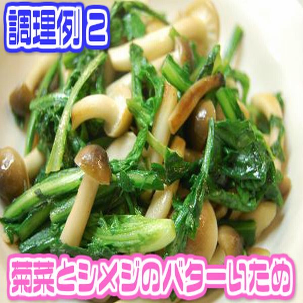 【兵庫県産】春菊 きくな 1束【野菜詰め合わせセットと同梱で送料無料】【送料別】/敬老の日/お歳暮/歳暮/中元/お中元/正月/しゅんきく/しゅんぎく/キクナ