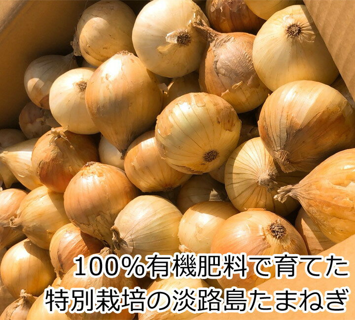 【送料別】【兵庫県淡路島産】玉ねぎ　大きさおまかせ　1パック3個入り【野菜詰め...
