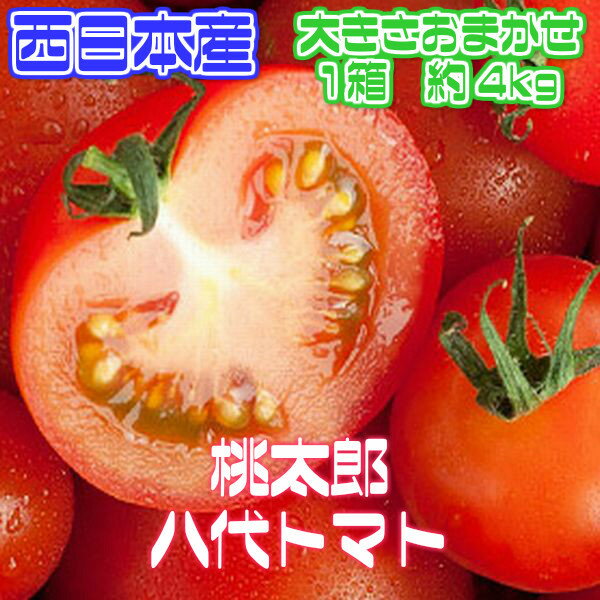 【送料無料】【西日本産】訳あり 桃太郎トマト 大きさおまかせ　約4kg(北海道沖縄別途送料加算)