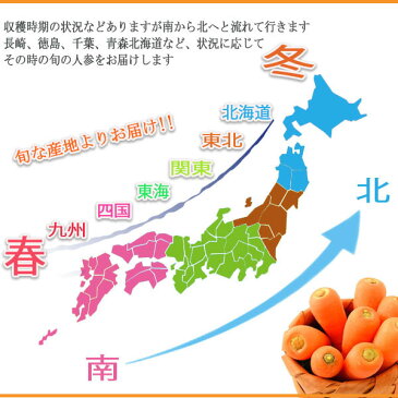 【送料無料】【産地厳選】訳あり　人参　大きさお任せ　約5kg(北海道沖縄別途送料加算)/訳有/訳あり/訳アリ/ワケあり/敬老の日/ジュース/スムージー/サラダ/お歳暮/歳暮/野菜スティック