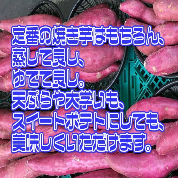 【送料無料】【徳島県産】訳あり　なると金時　里むすめ　M〜2Lサイズ　約5kg(北海道沖縄別途送料加算)