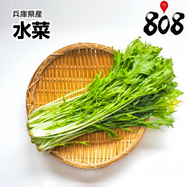 全国お取り寄せグルメ兵庫その他の野菜No.5