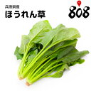 【送料別】【兵庫県/徳島県産】ほうれん草 1束 約200g【野菜詰め合わせセットと同梱で送料無料】【送料は注文後に個数によって変動】