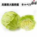 【送料別】【兵庫県/大阪府産】キャベツ 1個 約1.5kg【野菜詰め合わせセットと同梱で送料無料】【送料は注文後に個数によって変動】