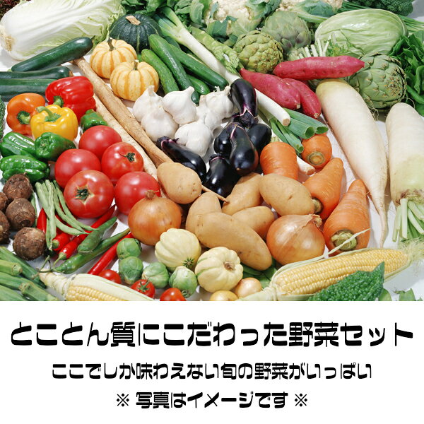 【送料無料】【西日本産】808厳選 新鮮野菜おまかせ詰め合わせセット8品【単品商品...