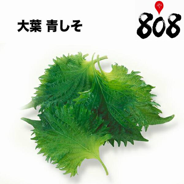 【送料別】【愛知県産】大葉 青しそ あおじそ Lサイズ 1パック 約100g 100枚入【野菜詰め合 ...