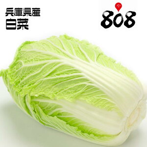 【送料別】【兵庫県産】白菜　1個　約2kg【野菜詰め合わせセットと同梱で送料無料】