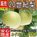 【鳥取県産他西日本産】 20世紀梨 約5kg 大きさおまかせ...