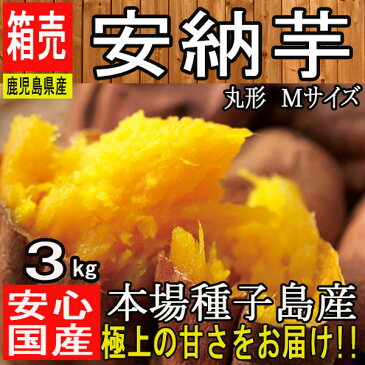 【鹿児島県 種子島産】あま〜い安納芋 3kg 安納さげ芋【丸 Mサイズ】秀品【常温便送料無料】(北海道沖縄別途送料加算)干し芋/焼き芋/煮物/さつま芋/さつまいも/サツマイモ/サツマ芋/薩摩芋/スイートポテト/芋菓子/おせち/お節/栗きんとん