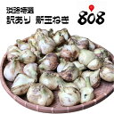 【兵庫県淡路島産】訳あり新玉ねぎ 大きさおまかせ 約10kg...