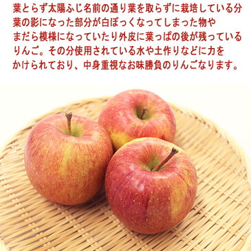 【送料無料】【青森県産】JAつがる弘前 葉とらずりんご 大きさおまかせ 約10kg(北海道沖縄別途送料加算)