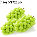 【予約商品】6月中旬頃発送予定【岡山県/香川県産】訳あり シ...