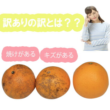 【送料無料】【西日本産】訳あり 清見オレンジ 大きさおまかせ 約10kg(北海道沖縄別途送料加算)樹上完熟/清見タンゴール/みかん/ミカン/蜜柑/訳有/訳あり/訳アリ/ワケあり/果物/フルーツ/デザート/高品質/野菜宅配/母の日