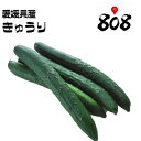 【愛媛県産】きゅうり　1パック　約300g【野菜詰め合わせセットと同梱で送料無料】【送料別】