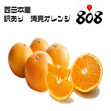 【送料無料】【西日本産】訳あり 清見オレンジ 大きさおまかせ 約10kg(北海道沖縄別途送料加算)樹上完熟/清見タンゴール/みかん/ミカン/蜜柑/訳有/訳あり/訳アリ/ワケあり/果物/フルーツ/デザート/高品質/野菜宅配/母の日