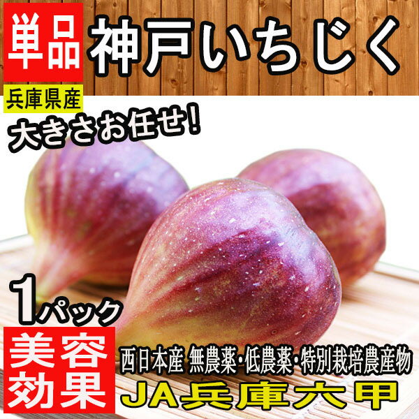 【兵庫県産】神戸いちじく 生　1パック　4〜8個　約500g　大きさおまかせ【送料別】イチジク/無花果/ソース/ジャム/スムージー/ロールケーキ