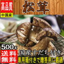 【クール便送料無料】ギフトに最適 松茸 約500g 専用カゴ入り 国産すだち付き 大きさお任せ!!中国産 (北海道・沖縄県のお客様は送料別途1000円)まつたけ/松茸/ギフト/贈答用