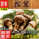 【期間限定】中国産 訳あり 松茸 約1kg 原体 大きさお任せ クール便送料別/まつたけ/松茸/きのこ/限定/