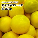 【カリフォルニア産】訳あり超大玉メロゴールド 約15kg 常...