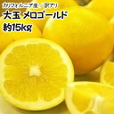 【カリフォルニア産】訳あり大玉メロゴールド 約15kg【常温...