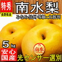 特秀【長野県産】南水梨 太鼓判 約5kg 光センサー選別で高...