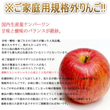 【あす楽】【送料無料】【ふるさと納税にも選ばれた】【長野県産】訳あり サンふじりんご 大きさおまかせ 約8kg〜10kg(北海道沖縄別途送料加算)