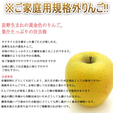 【送料無料】【長野県産】訳あり シナノゴールド 大きさおまかせ 約4kg(北海道沖縄別途送料加算)ご家庭用/訳有/訳あり/訳アリ/ワケあり/リンゴ/りんご/林檎/アップルジュース/スムージ/敬老の日/お歳暮/歳暮/高糖度/家庭用