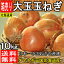 【北海道産】玉ねぎ Lサイズ 約10kg【ゆうパック送料無料】(東北のお客様は送料500円北海道・沖縄県のお客様は送料1000円)たまねぎ/タマネギ【佐川急便・ヤマト運輸送料別】