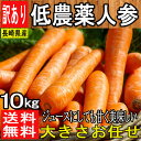 【長崎他、西日本産】訳あり 人参 大きさおまかせ 約10kg【ゆうパック送料無料】(東北のお客様は送料500円北海道・沖縄県のお客様は送料1000円)にんじん/ニンジン/ジュース/にんじんジュース/人参ジュース【低農薬・特別栽培農産物】【佐川急便・ヤマト運輸送料別】