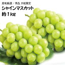 【産地厳選】【あす楽】秀品 シャインマスカット 1〜2房 大...