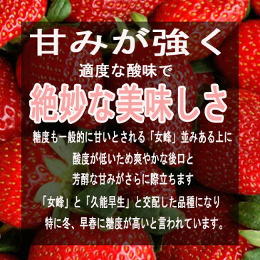 【送料無料】【兵庫県産】六甲ゆめいちご 大きさおまかせ 1箱 約250g×4パック (北海道沖縄別途送料加算)いちご/イチゴ/苺/ゆめいちご/ケーキ/ギフト/贈答/お中元/のし/ラッピング/可/母の日/父の日/プレゼント/フルーツ/スイーツ/グルメ/ジュース/スムージー/お歳暮/お年賀