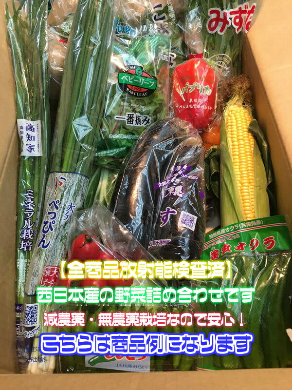 【送料無料】【西日本産】808厳選 新鮮野菜おまかせ詰め合わせセット8品【単品商品...