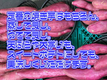 【送料無料】【あす楽】【徳島県産】訳あり　なると金時　里むすめ 　Sサイズ　約5kg(北海道沖縄別途送料加算)鳴門金時/焼き芋/煮物/さつま芋/さつまいも/サツマイモ/サツマ芋/薩摩芋/スイートポテト/芋菓子/おせち/お節/栗きんとん/訳アリ/ワケあり/スイーツ/お菓子