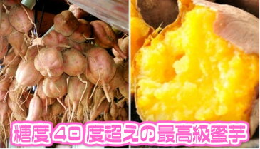 【鹿児島県 種子島産】あま〜い安納芋 3kg 安納さげ芋【丸 Mサイズ】秀品【常温便送料無料】(北海道沖縄別途送料加算)干し芋/焼き芋/煮物/さつま芋/さつまいも/サツマイモ/サツマ芋/薩摩芋/スイートポテト/芋菓子/おせち/お節/栗きんとん