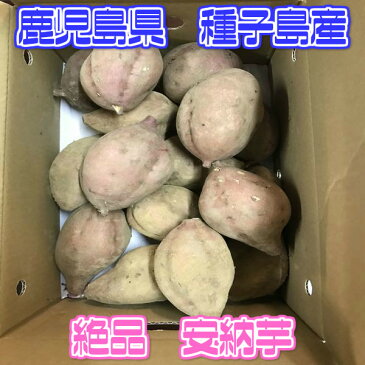 【鹿児島県 種子島産】あま〜い安納芋 3kg 安納さげ芋【丸 Mサイズ】秀品【常温便送料無料】(北海道沖縄別途送料加算)干し芋/焼き芋/煮物/さつま芋/さつまいも/サツマイモ/サツマ芋/薩摩芋/スイートポテト/芋菓子/おせち/お節/栗きんとん