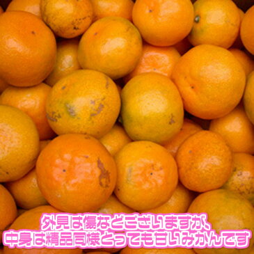 【送料無料】【西日本産】訳ありみかん　2Lサイズ　約5kg(北海道沖縄別途送料加算)訳有/訳あり/訳アリ/ワケあり/ミカン/蜜柑/ジュース/スムージー/みかん狩り/ゼリー/ジャム/高糖度